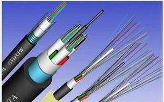 宜昌地区12芯与24芯光缆的应用与选型指南